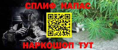 mdpv Краснознаменск