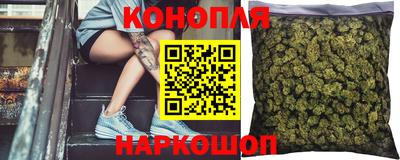 mdpv Краснознаменск