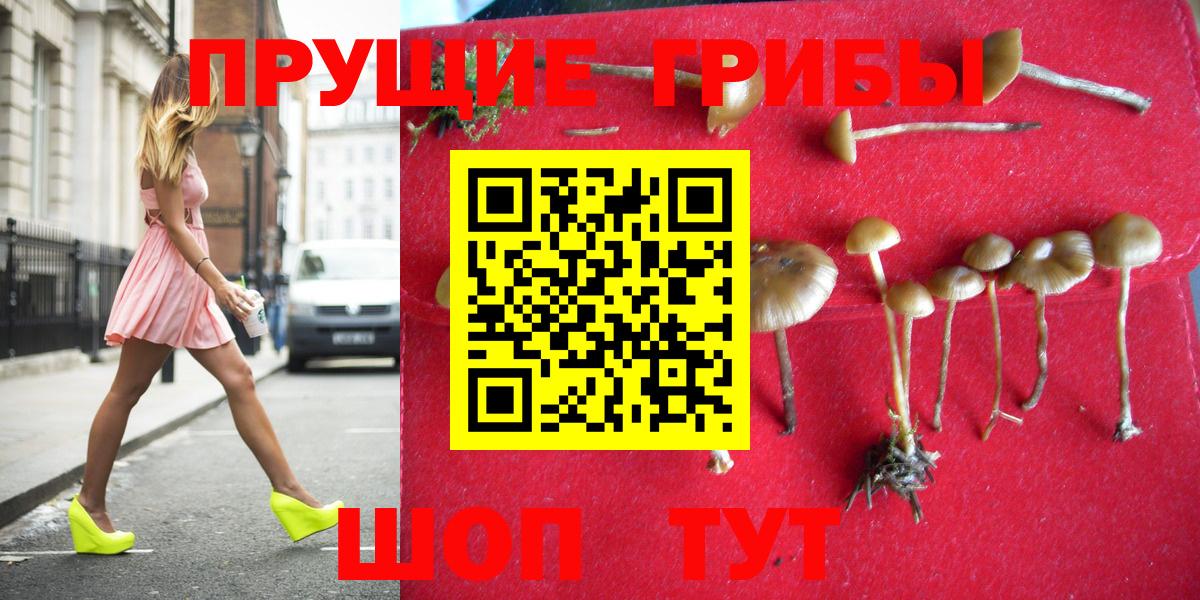 Галлюциногенные грибы Psilocybe Дубна